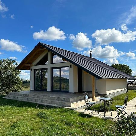 Casa Moderna In Sinteu - Intersectia Intre Modern Si Linistea Naturii Huta Voivozi Eksteriør bilde