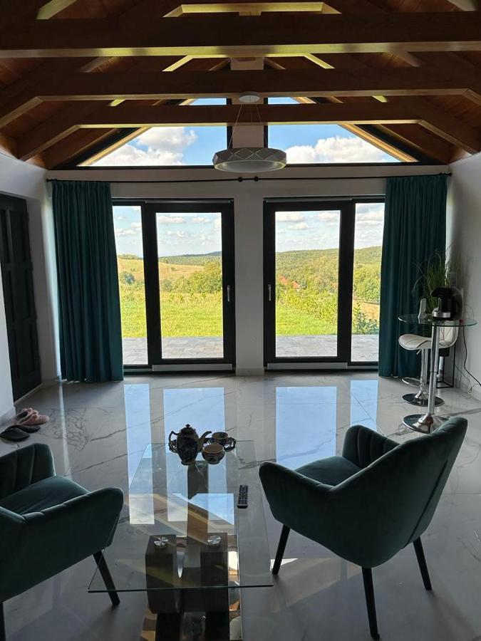 Casa Moderna In Sinteu - Intersectia Intre Modern Si Linistea Naturii Huta Voivozi Eksteriør bilde