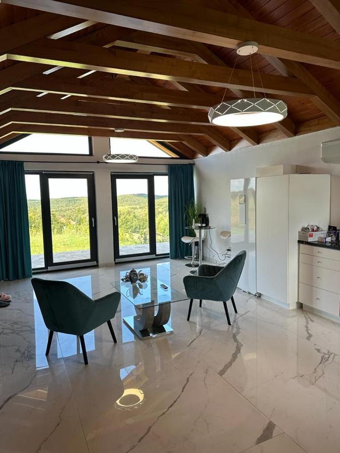 Casa Moderna In Sinteu - Intersectia Intre Modern Si Linistea Naturii Huta Voivozi Eksteriør bilde